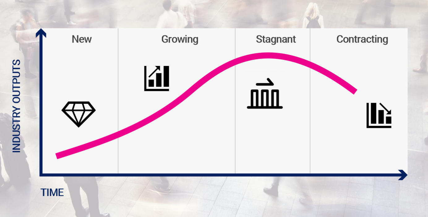 industry-life-cycle-definition-stages-consideration